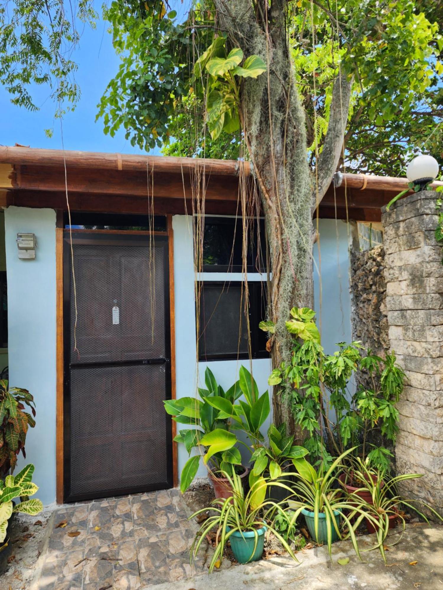 Mj'S Residences Garden Hotel Moalboal Bagian luar foto